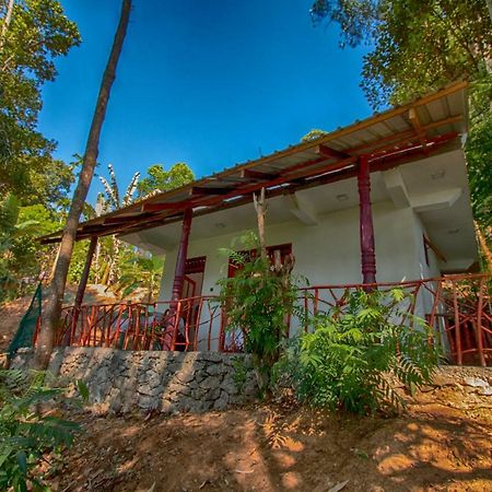 Dulmini Homestay Ella Extérieur photo